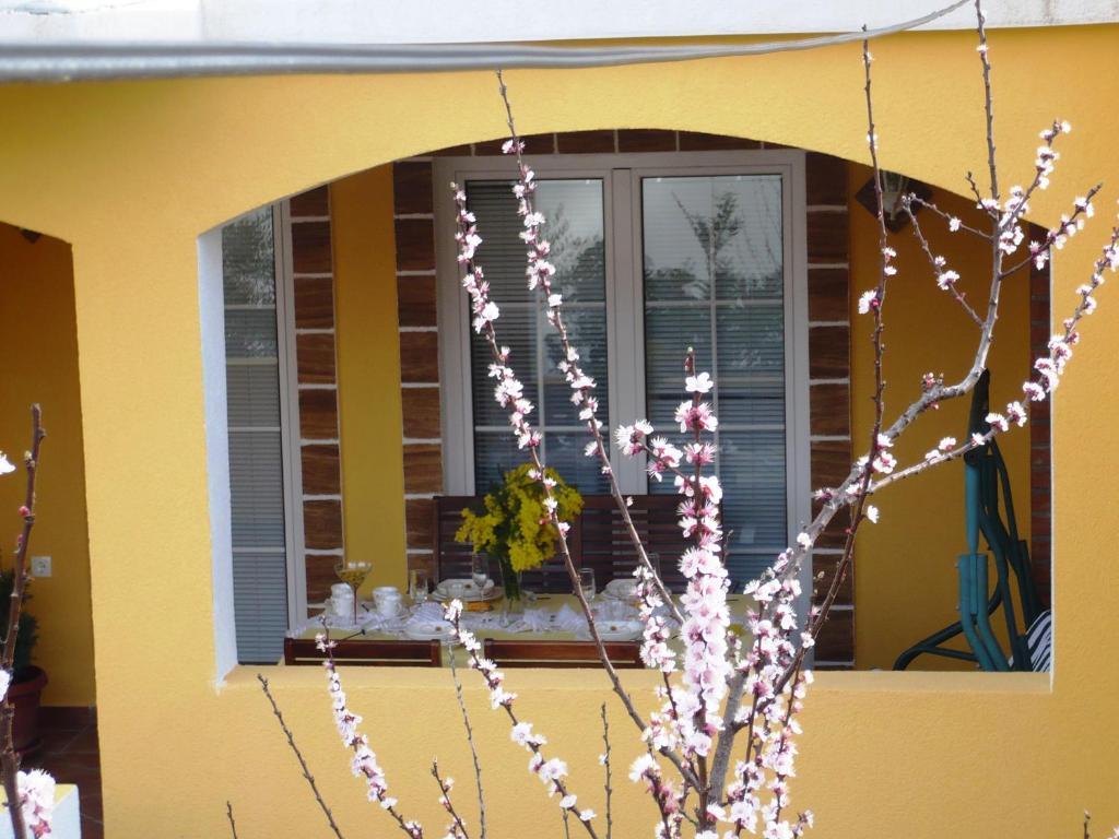 Apartments Brac Supetar Rum bild